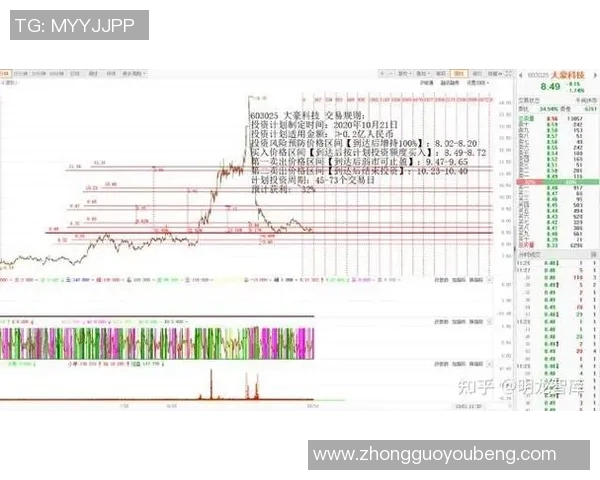 广州羽毛球队运营分析:成功经验与面临挑战的深度探讨